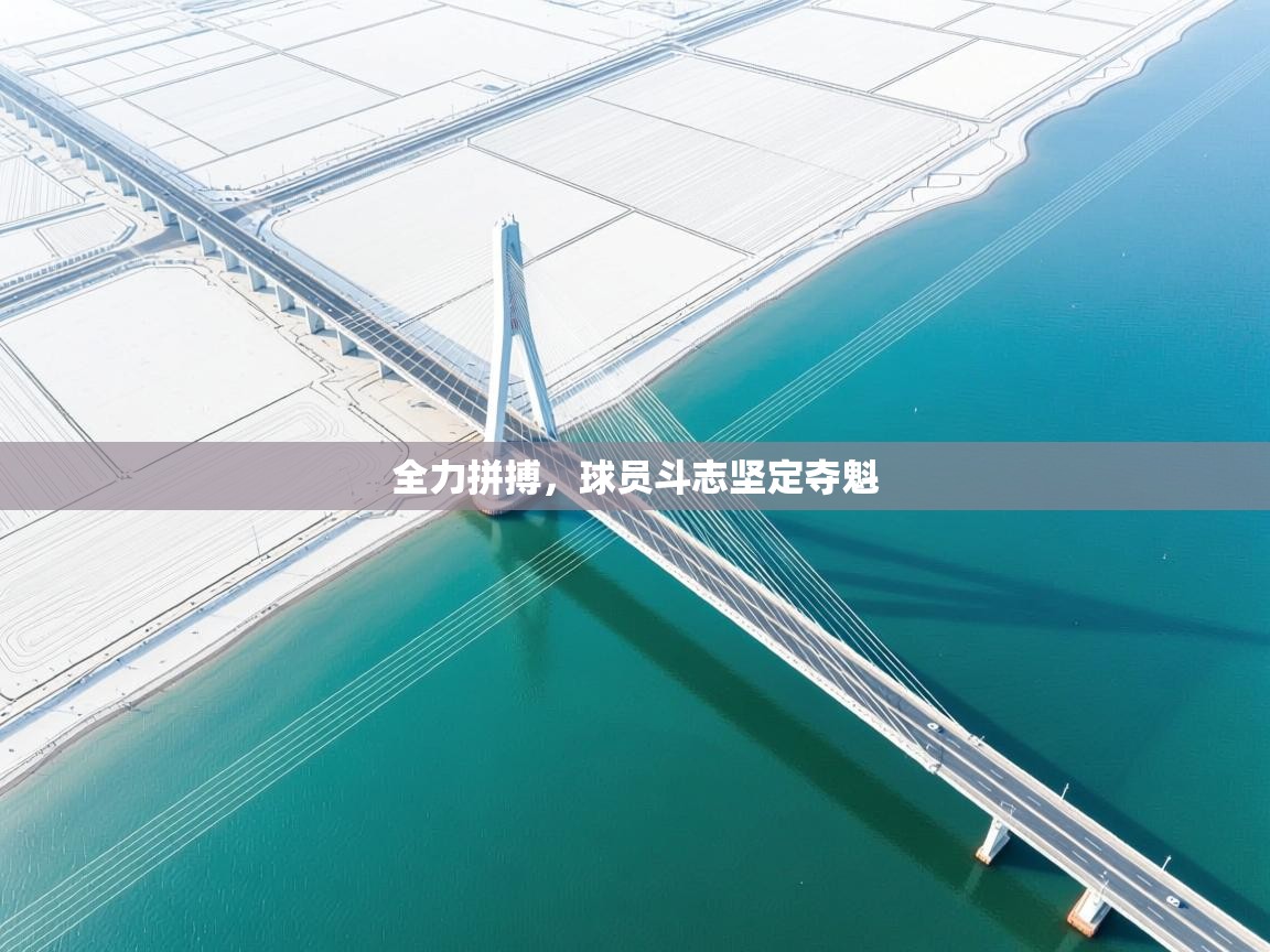 全力拼搏，球员斗志坚定夺魁  第1张