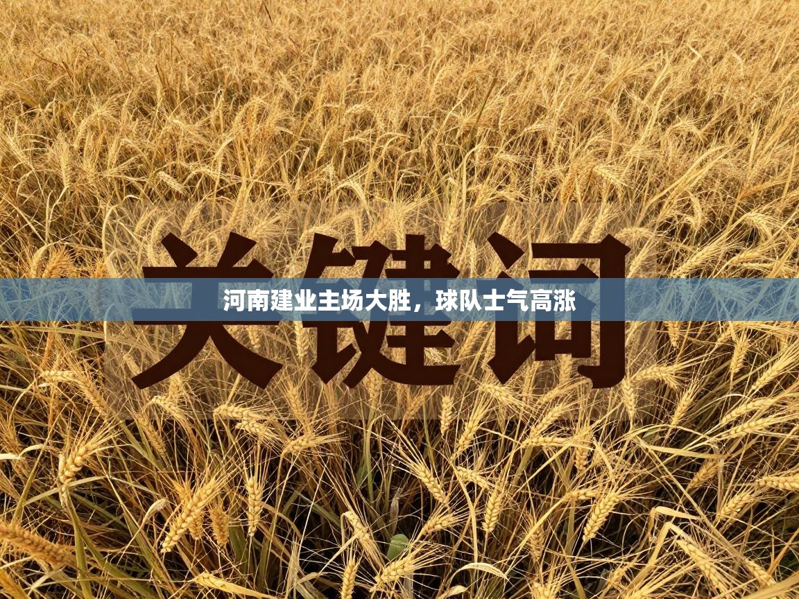 河南建业主场大胜，球队士气高涨  第1张