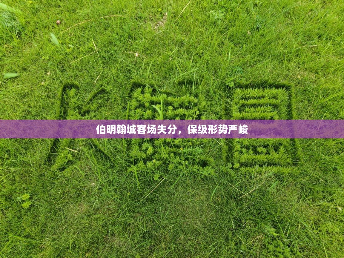 伯明翰城客场失分,保级形势严峻 第1张