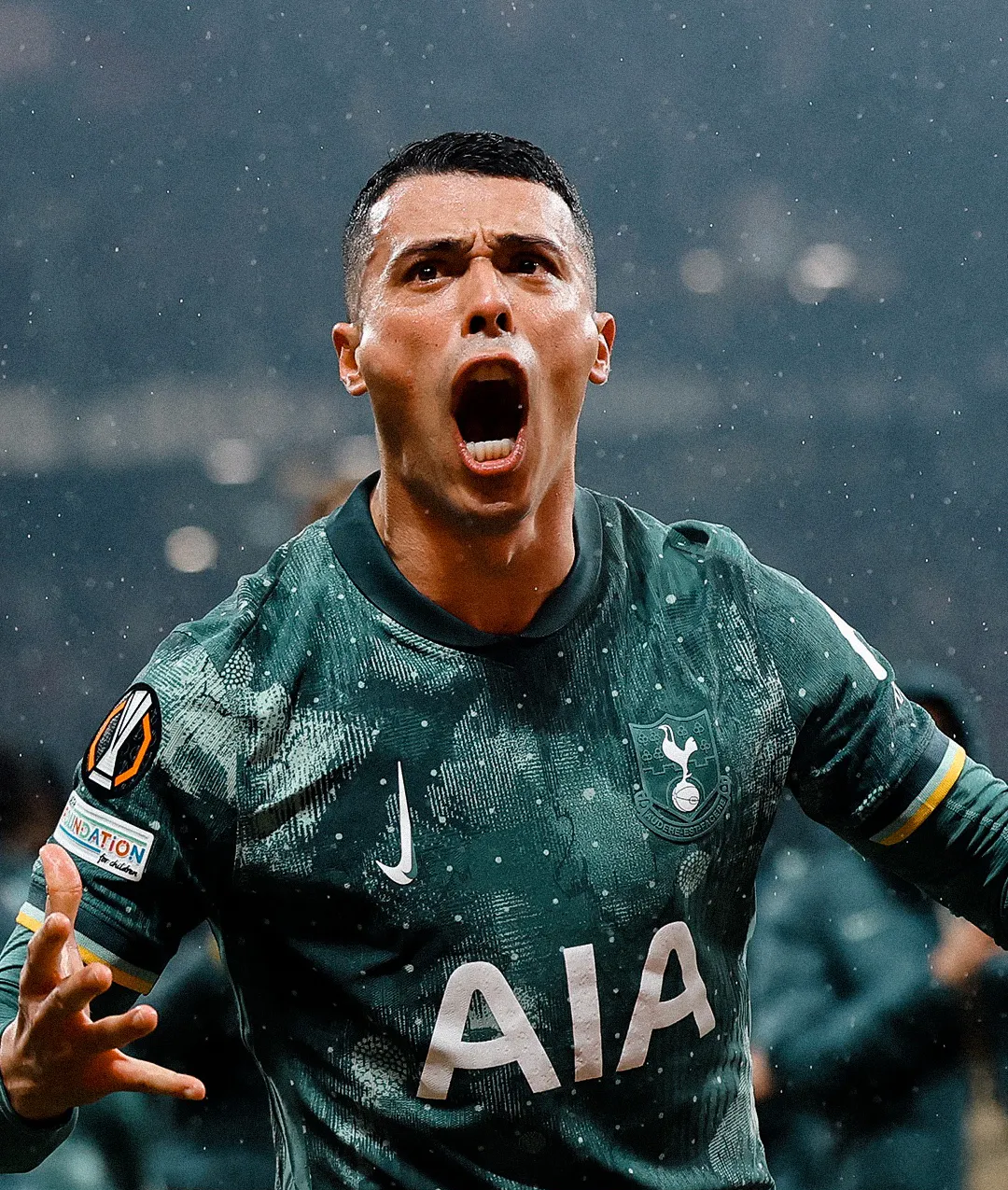 热刺前锋加盟维罗纳,为球队进攻注入新活力的简单介绍 热刺前锋加盟维罗纳,为球队进攻注入新活力的简单介绍