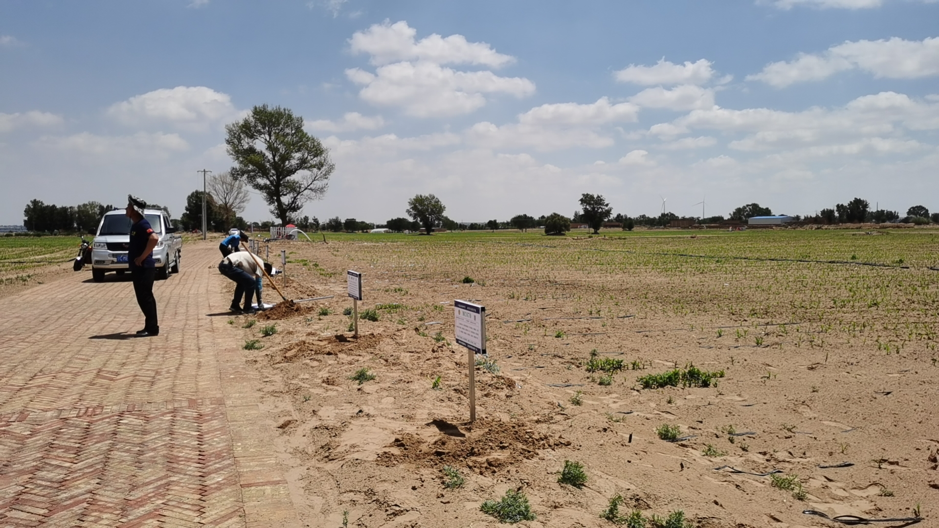 大豆之城,足球传奇谱写新章的简单介绍 大豆之城,足球传奇谱写新章的简单介绍